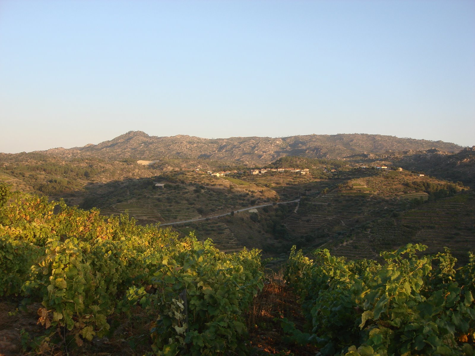 [DSC04818.JPG]