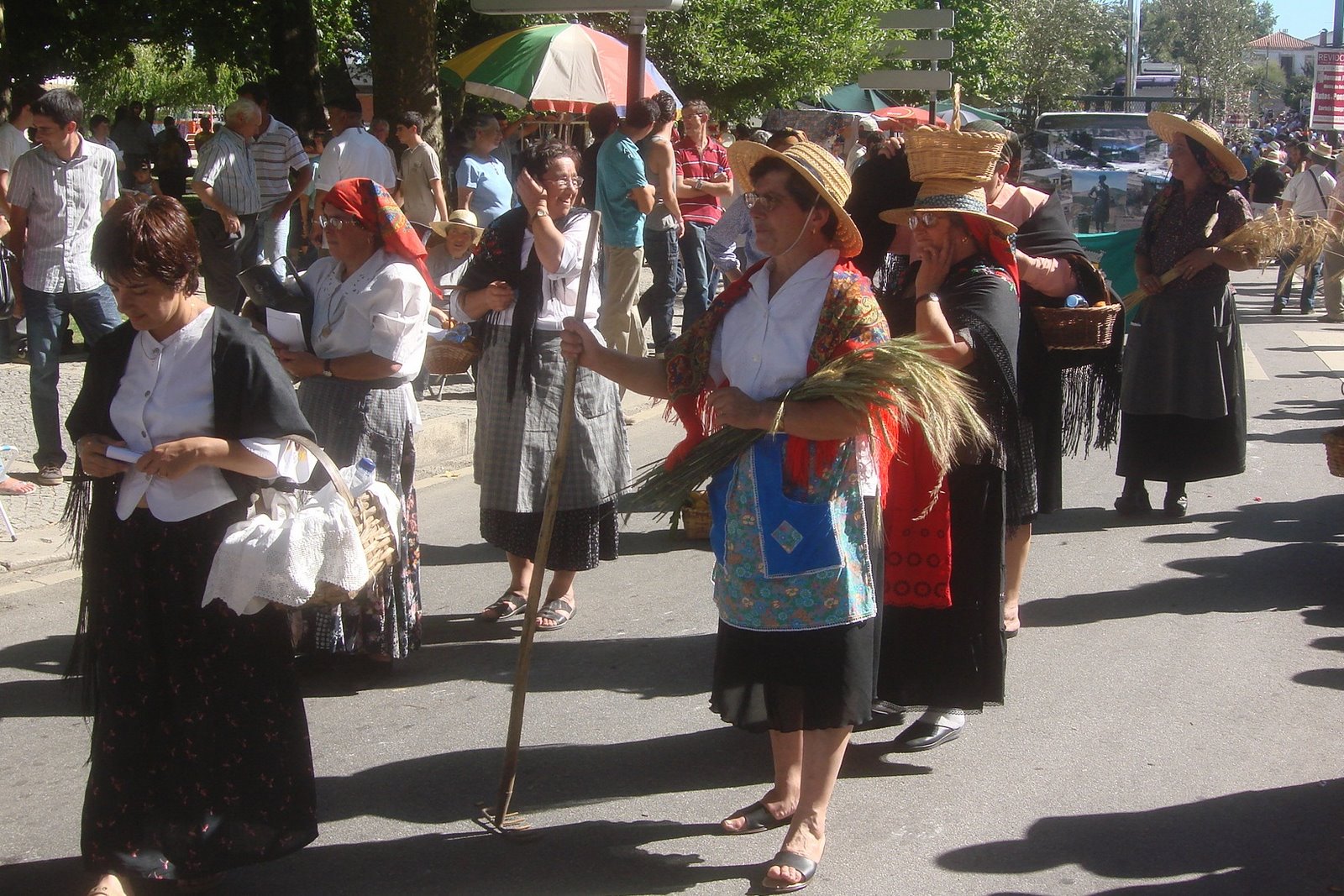 [DSC05956.JPG]