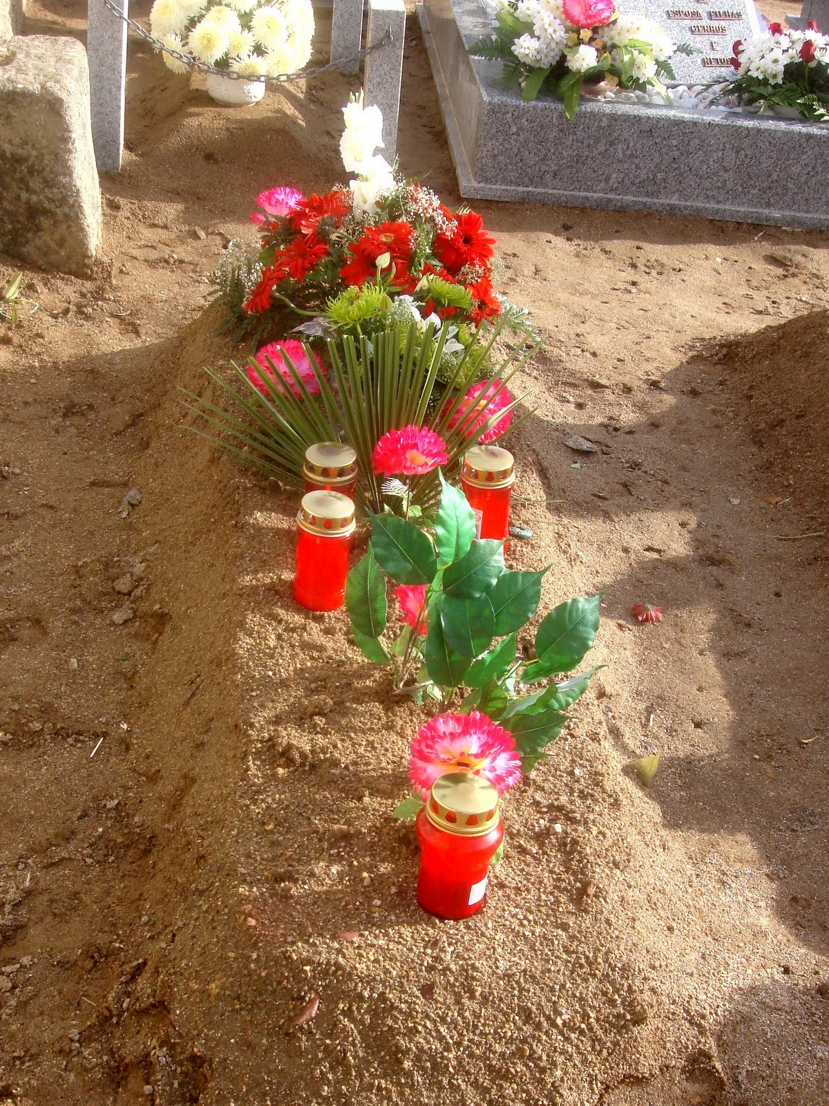 [DSC08962.JPG]