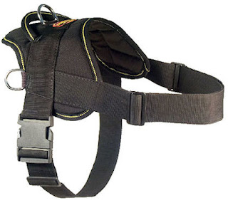 Labrador Harness