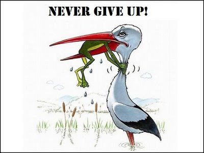 Sayings About Never Giving Up. quotes on never giving up.