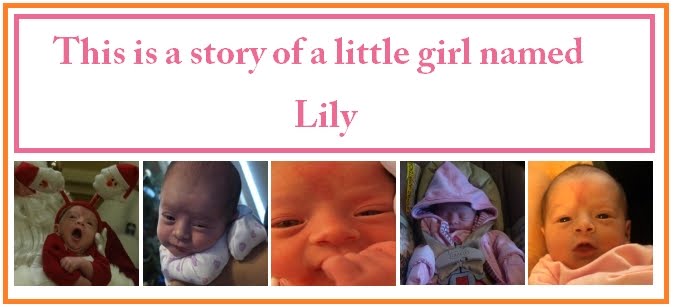 This is the story of a little girl named Lily