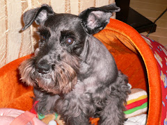 Sister-Dathy 13 yrs old