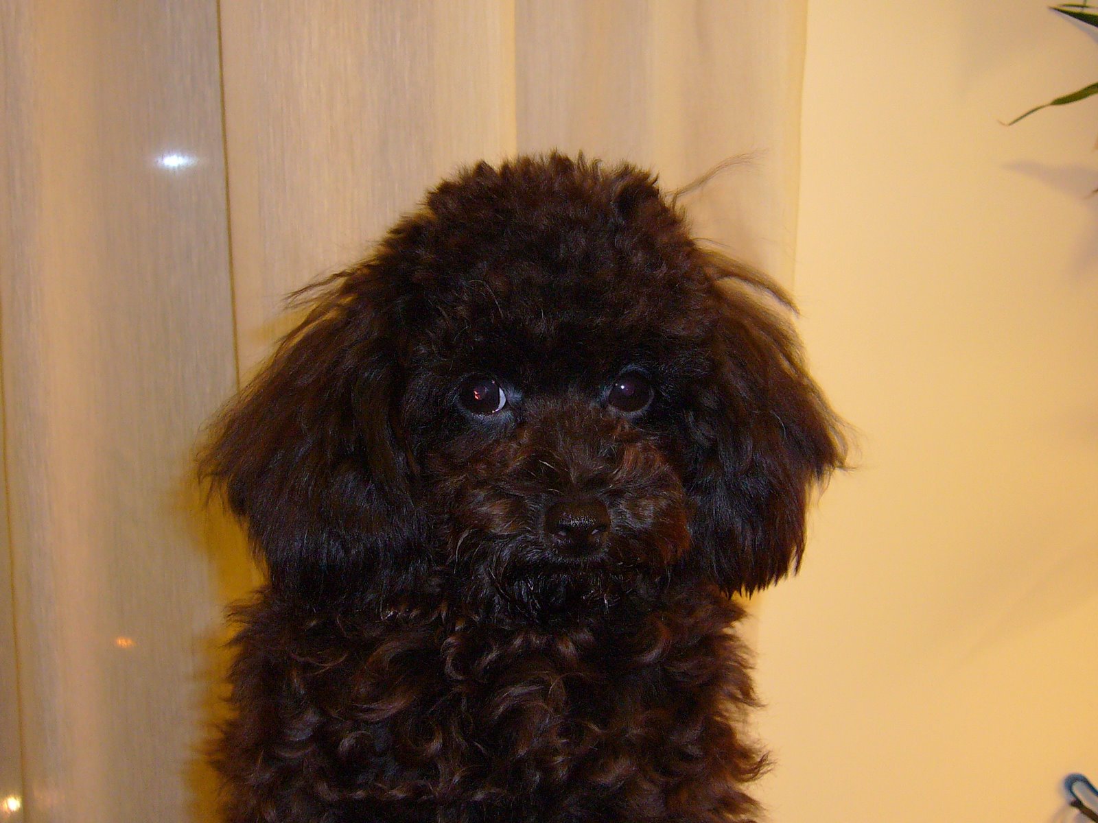 [D+(first+hair+cut+2).JPG]