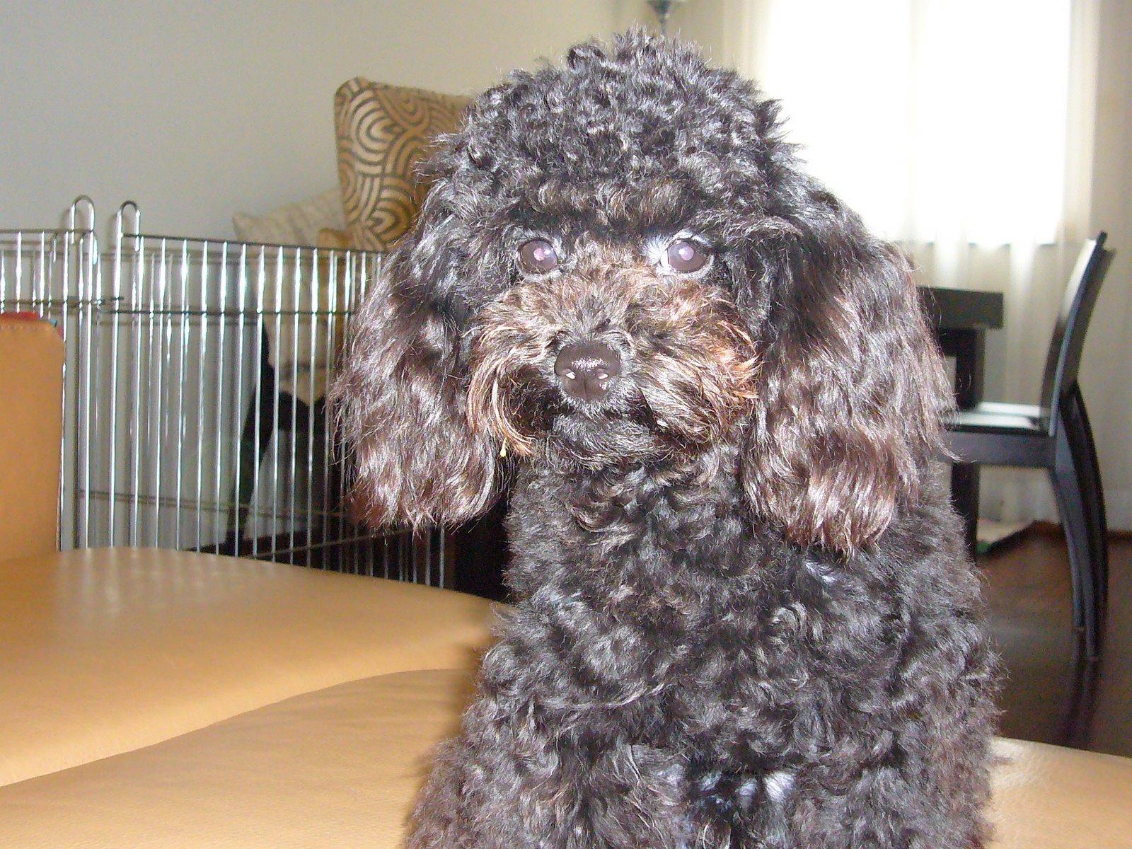 [DiDee+before+hair+cut.JPG]