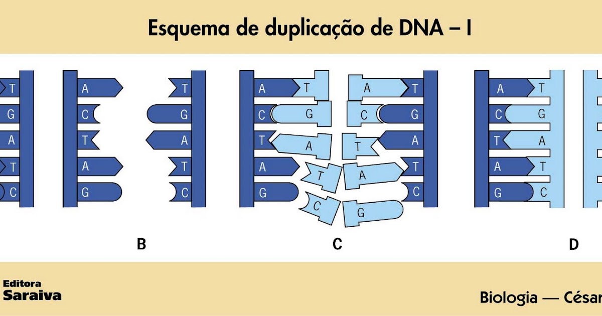 Sociedade brasileira de genética