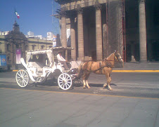 LOS PASEOS EN CARRETA DE GUADALAJARA