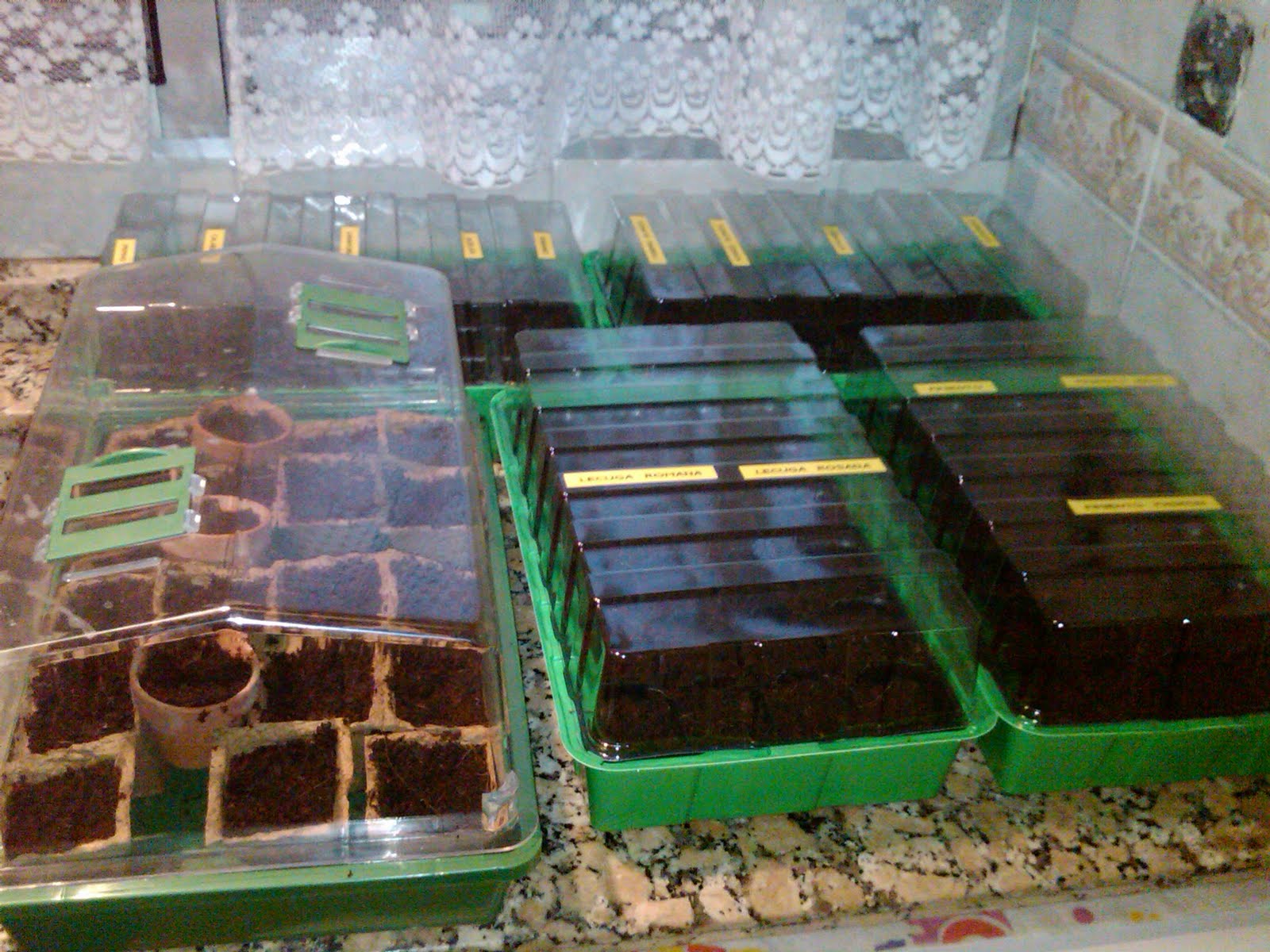 [IMG00266-20100302-1838.jpg]