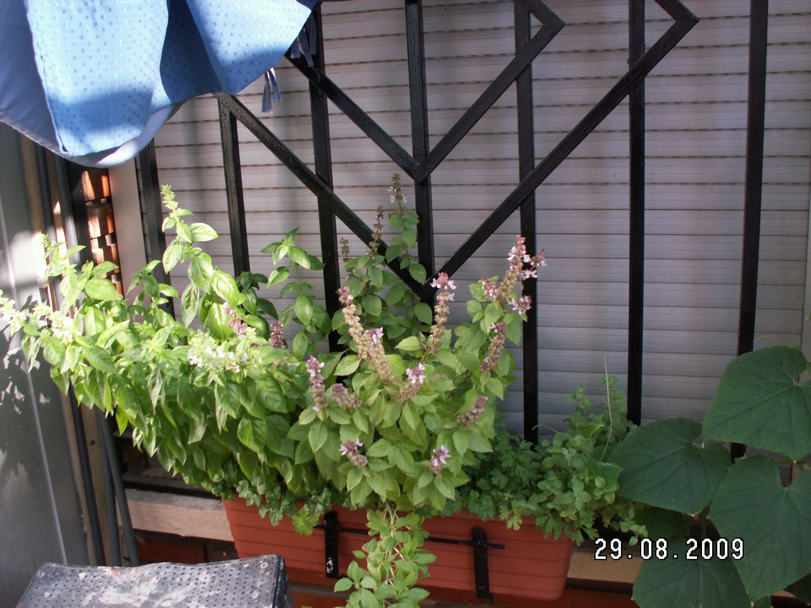 [PICT0277.JPG]