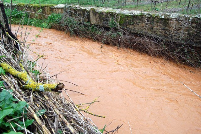 [Cheia++2010+00513167.jpg]