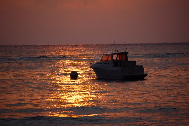 [DSC_00323124.JPG]