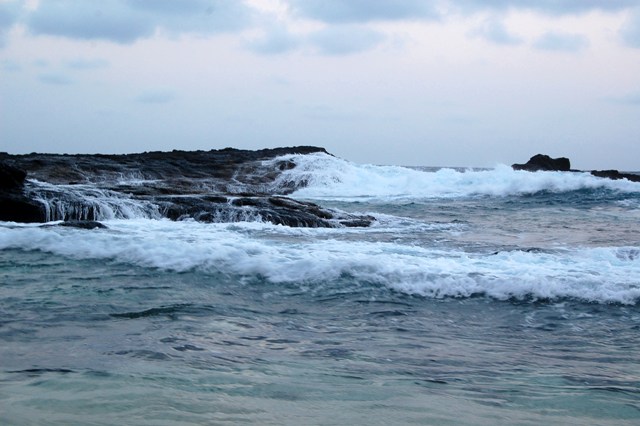 [DSC_035434444444.JPG]