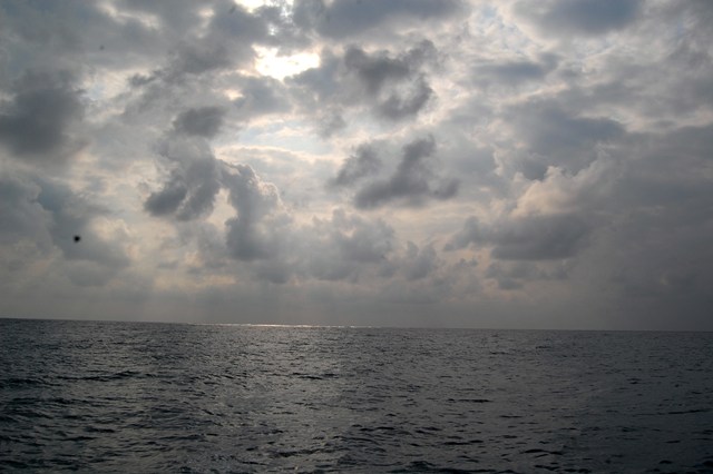 [DSC_042135104510.JPG]