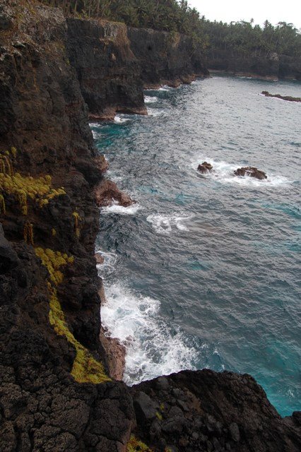 [DSC_025233424342.JPG]