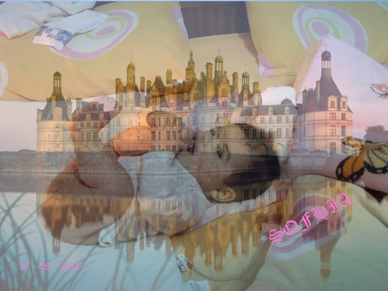 Castelo de Princesa Sofhia