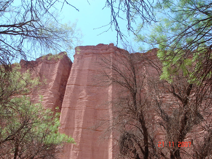 Cañon de Talampaya