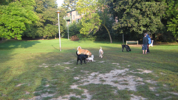 Off Leash Area at Ramsden Park