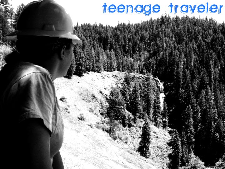 Teenage Traveler