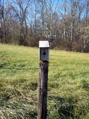 [birdhouseweb.jpg]