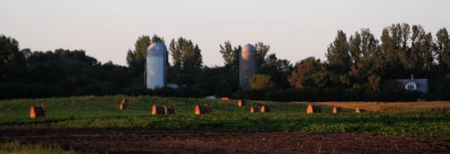 [silo.jpg]
