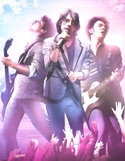 Jonas Brothers en Concierto 3D