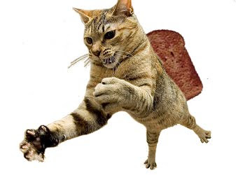 Buttered Cat
