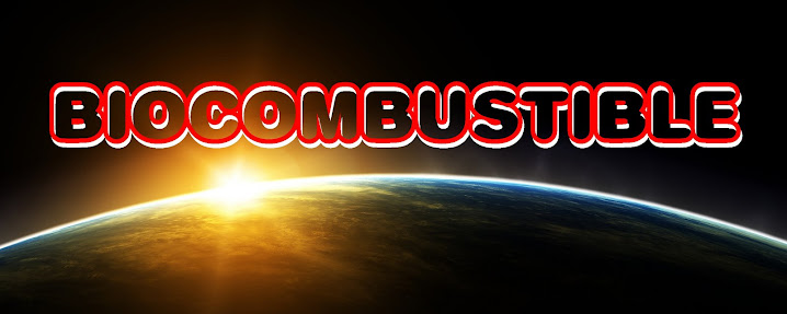 BIOCOMBUSTIBLES