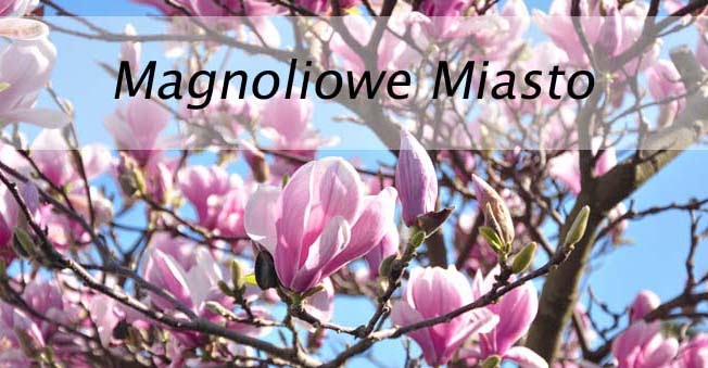 Magnoliowe Miasto