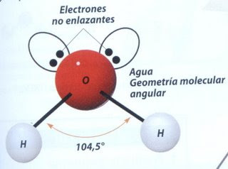 molecula