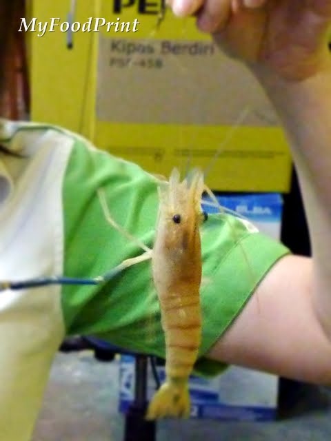 [prawn+3.JPG]