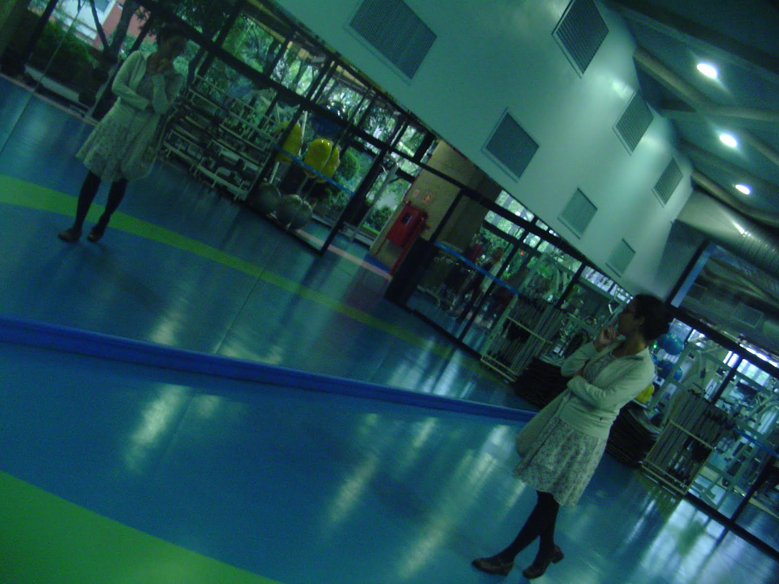 [DSC00743.JPG]