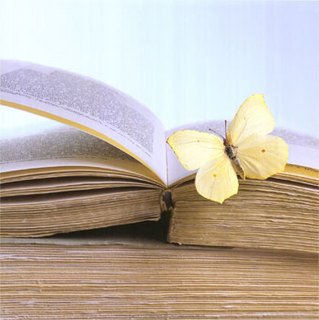 [o+poder+das+palavras+escritas.jpg]
