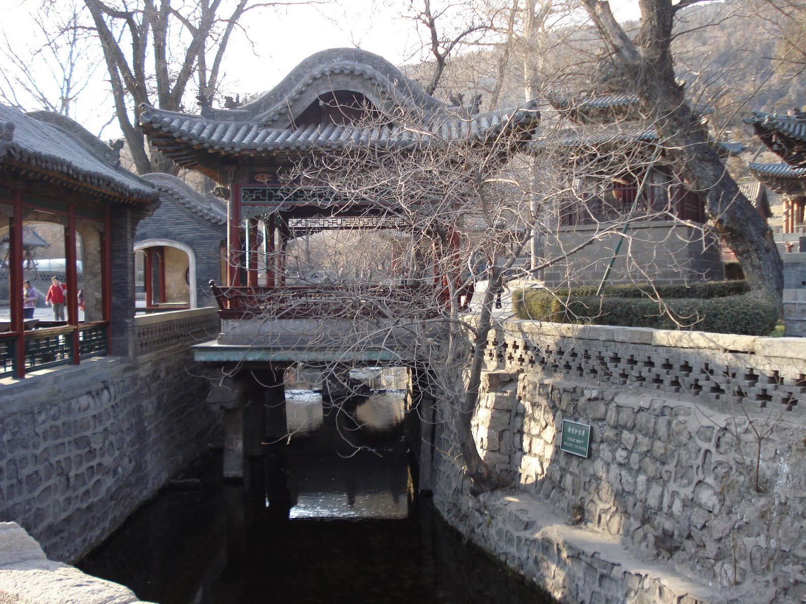 [DSC06287.JPG]