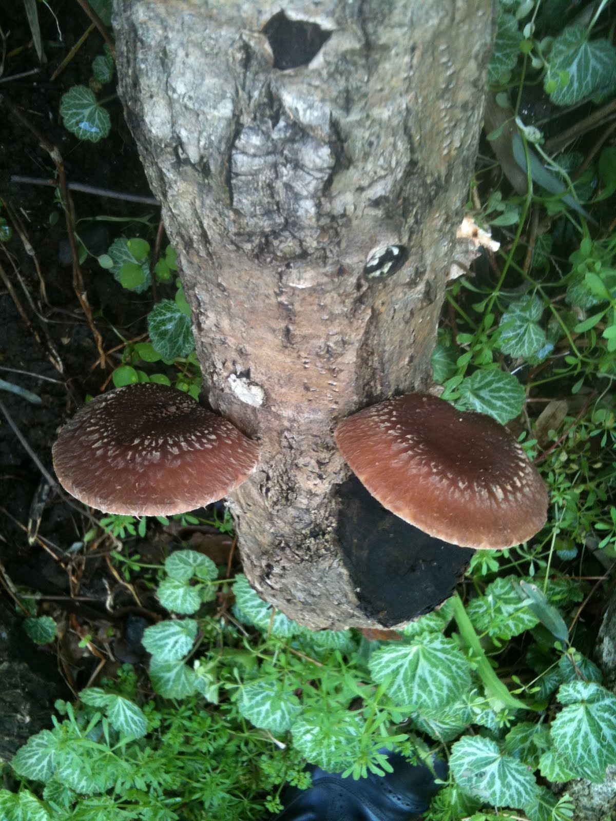 [IMG_0224.JPG]