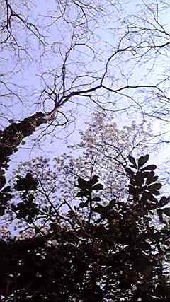 [2009031913280000.jpg]