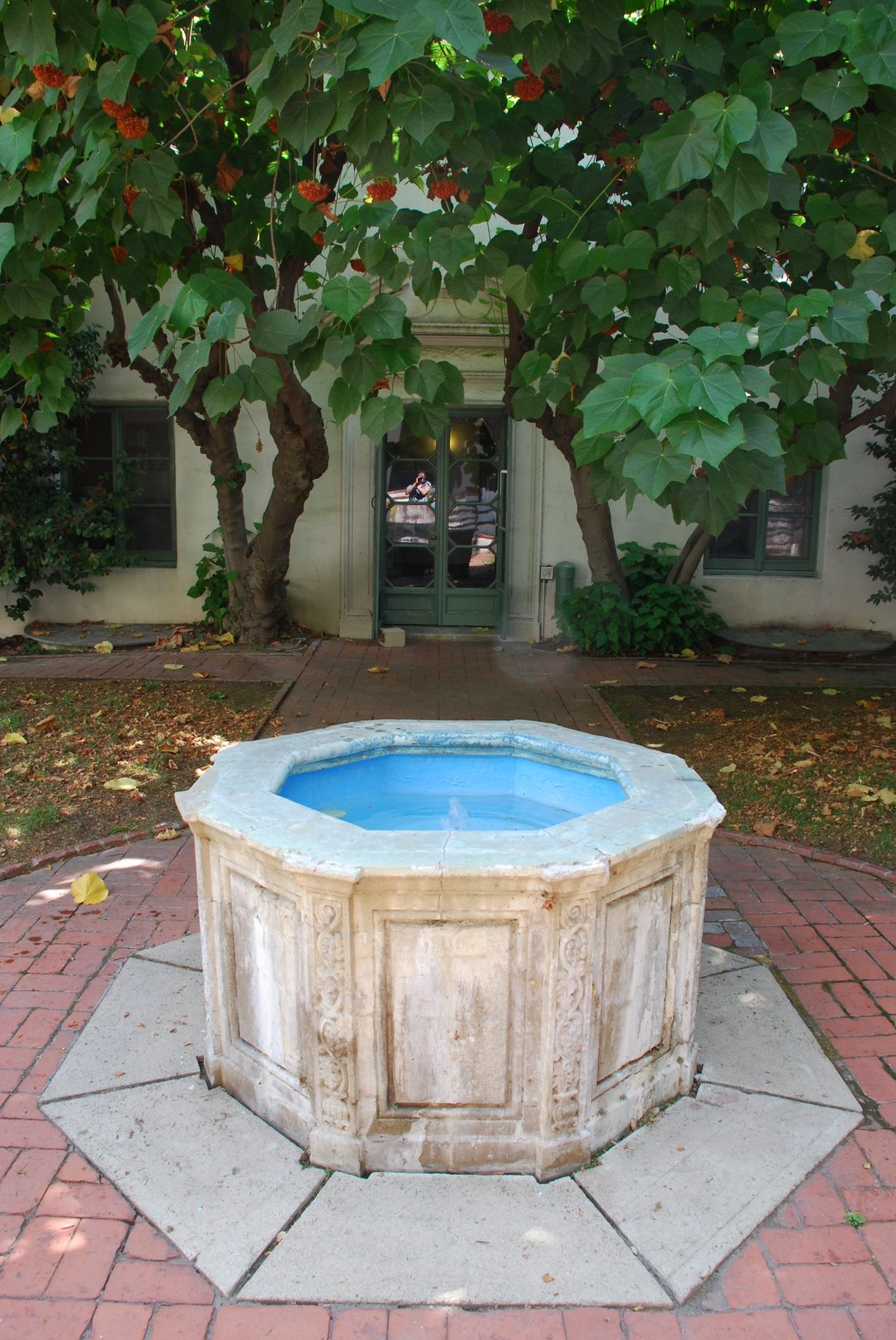 [DSC_0053.JPG]DSC_0053.JPG]