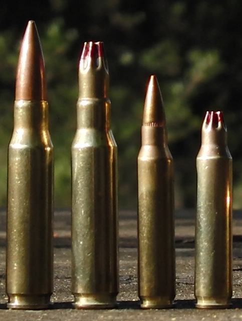 7.62 X 51 and 5.56 X 45 live & blank ammo.