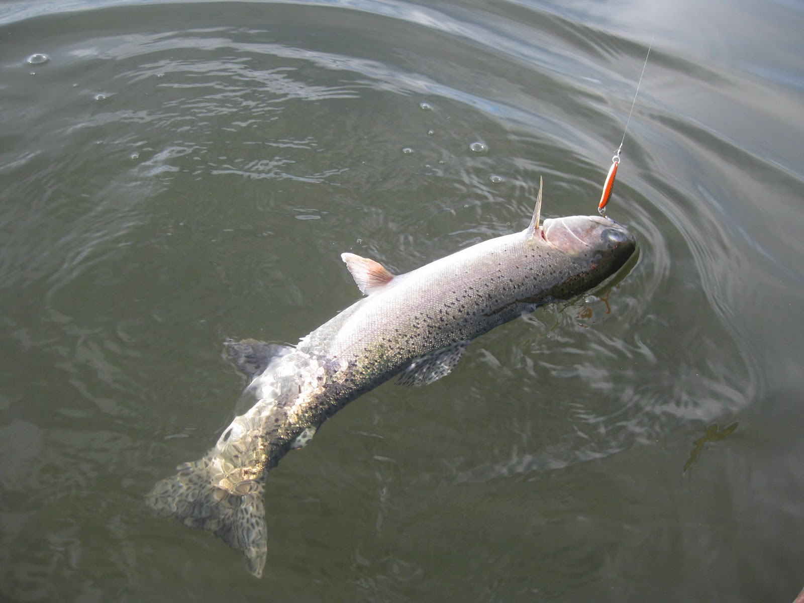 Craig Ellsworth Fishing on Upper Klamath Lake