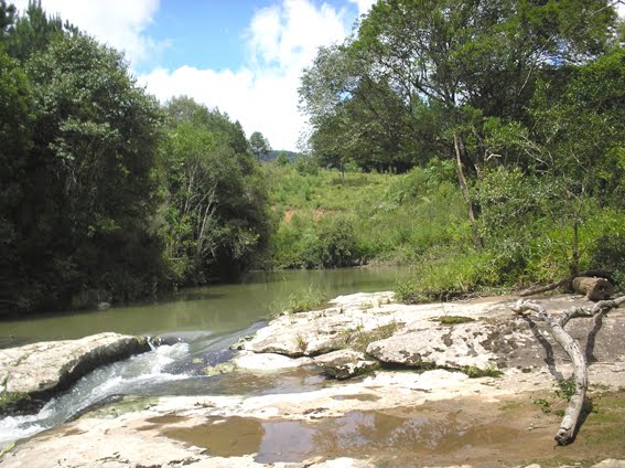 PISCINA NATURAL