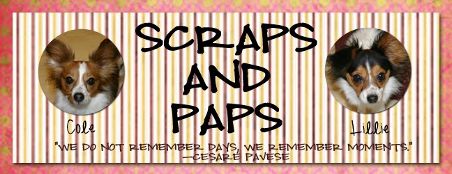 Scraps and Paps