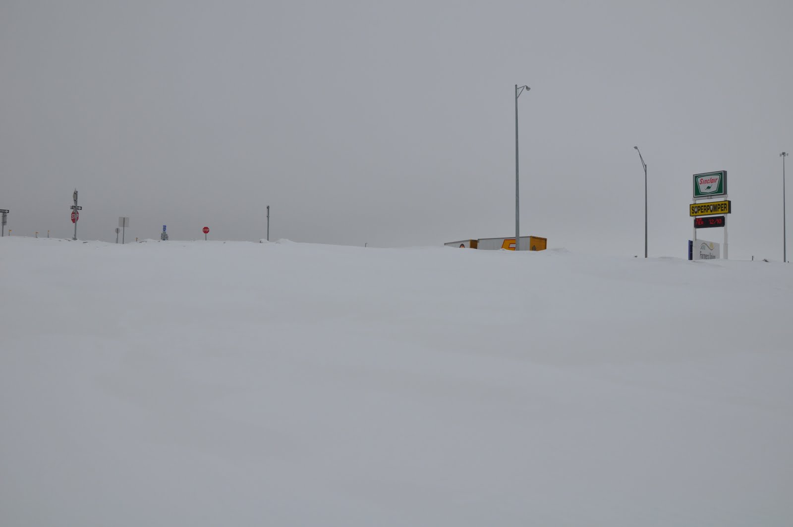 [DSC_0020.JPG]