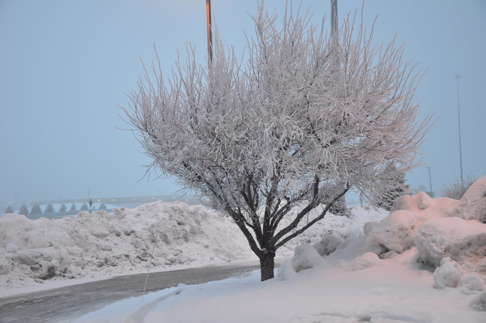 [DSC_0047.JPG]