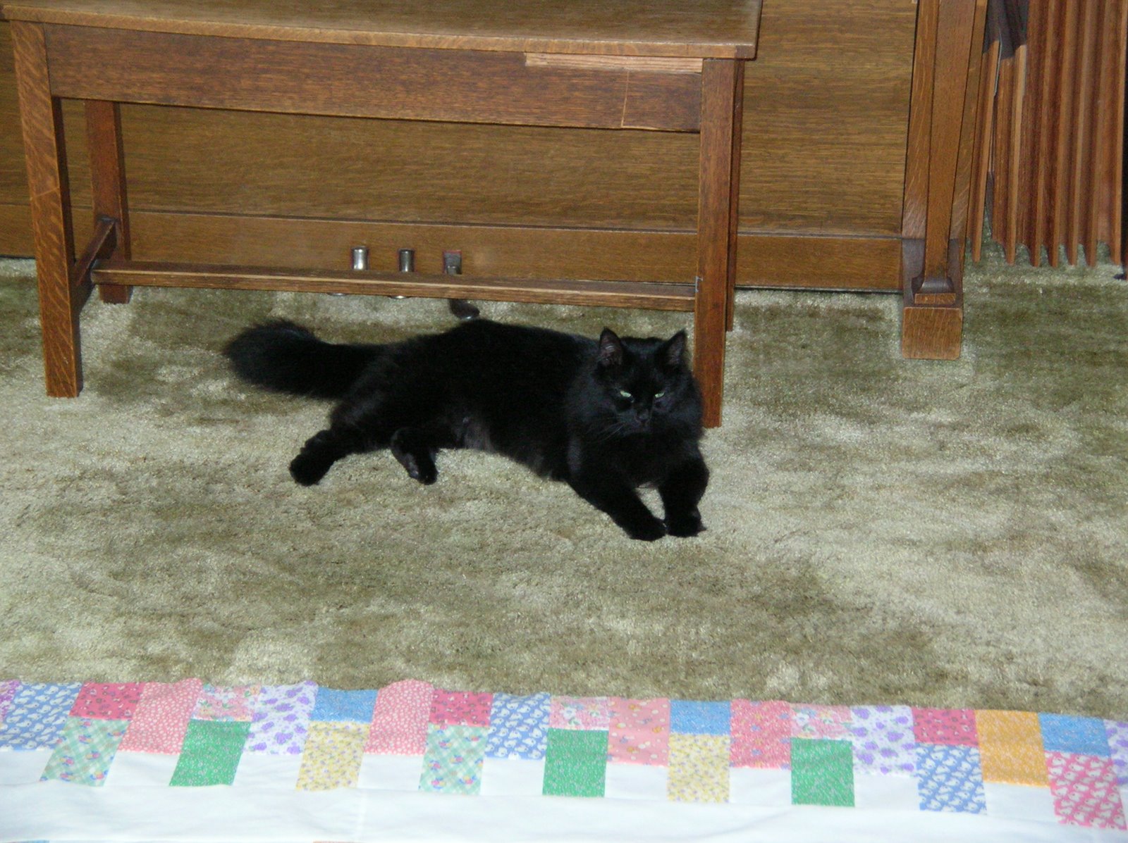[DSCN9506.JPG]