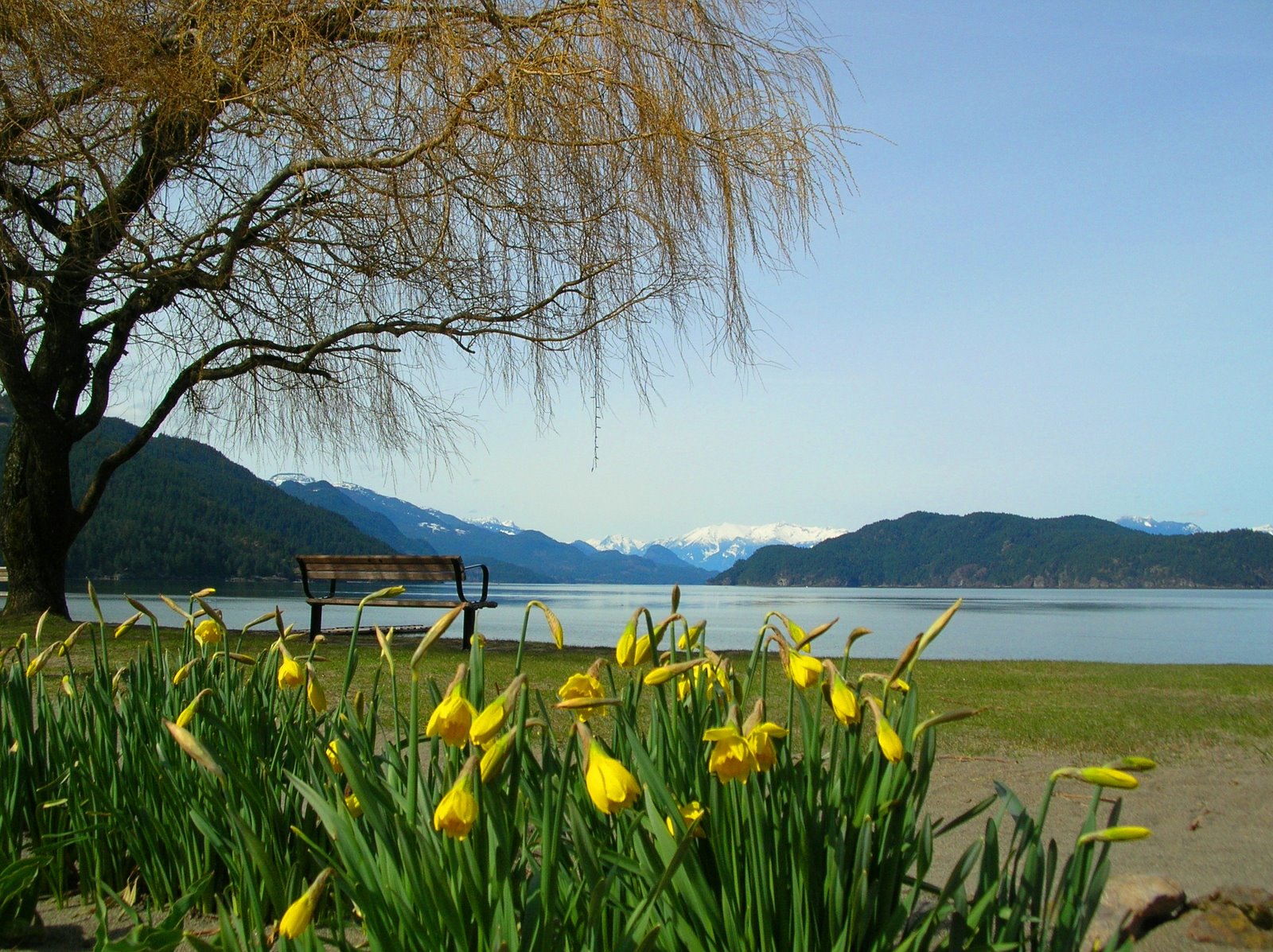 [DSCN9566.JPG]