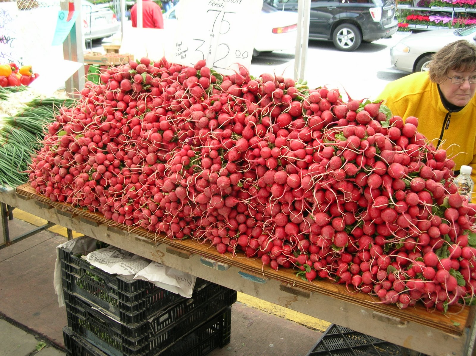[DSCN0333.JPG]