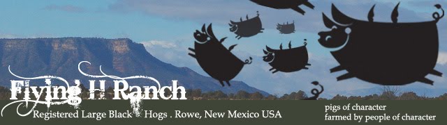 Flying H Ranch - Large Black Hogs, Pastured Pork, Artisan Pork, Heritage Pork, Rowe NM   USA