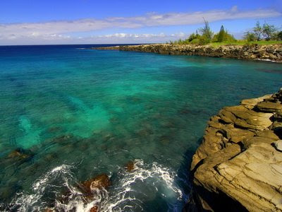 nature wallpaper hd 1080p. nature wallpaper hd. nature wallpaper hd 1080p.