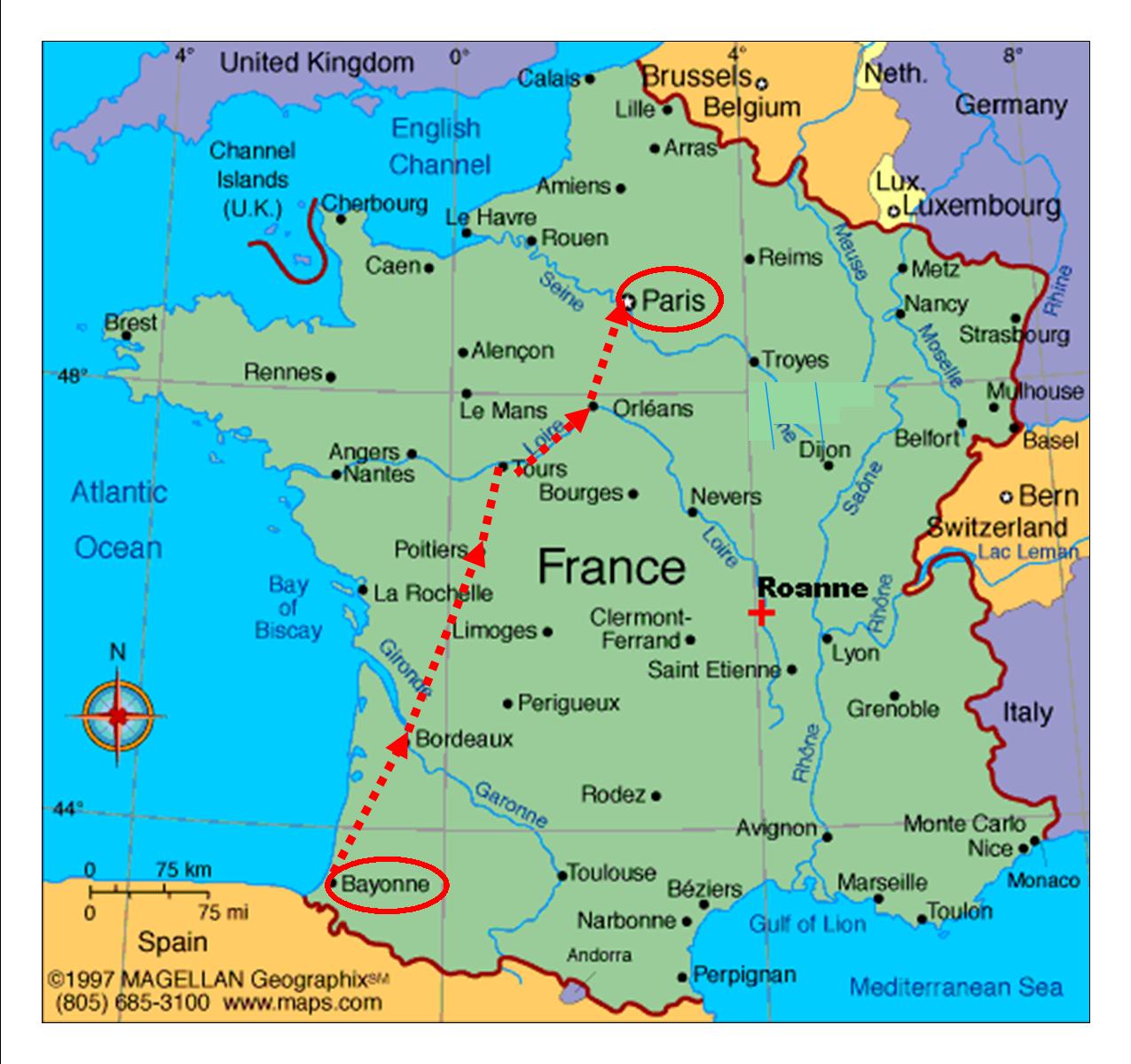 My Views by Diane M. Bayonne to Paris...Panic, Sunflowers & the Loire