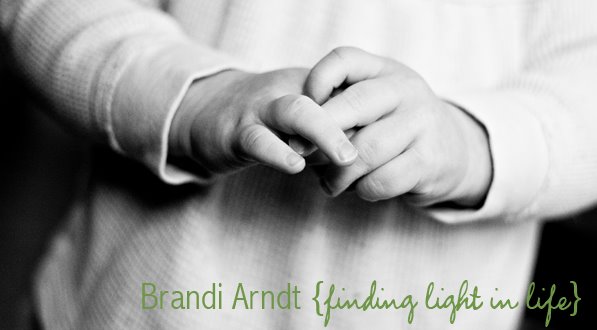 Brandi Arndt Photography