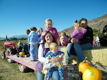 The pumkin Patch